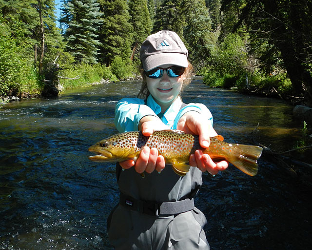 Dry Fly Fishing Small Creeks